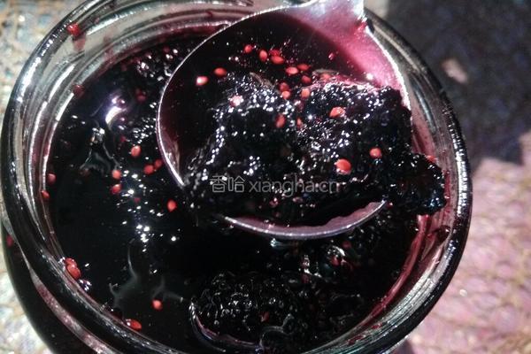 桑椹果汁酱的做法图解11