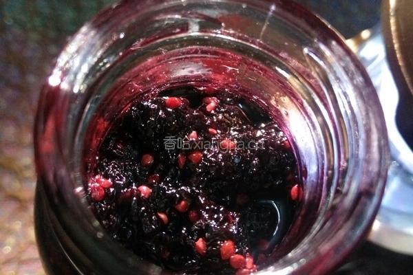 桑椹果汁酱的做法图解14