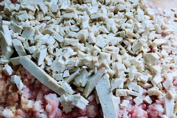 韭菜大肉水饺的做法图解5