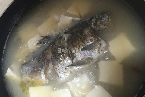 鲫鱼炖豆腐的做法图解5