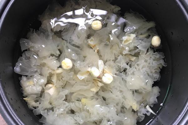 银耳鸡蛋糖水的做法图解7