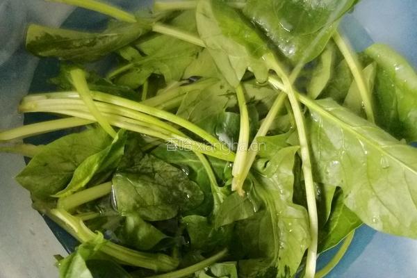 菠菜肉丝粉儿的做法图解1