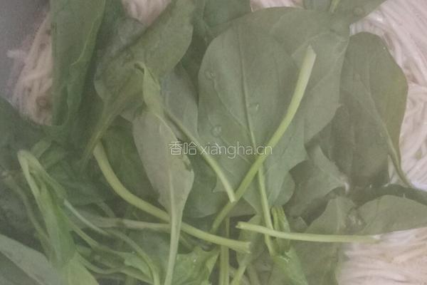 红烧肉面的做法图解4