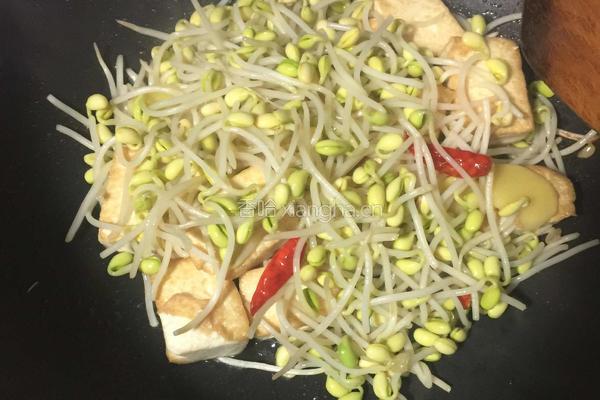 豆芽红烧豆腐的做法图解7