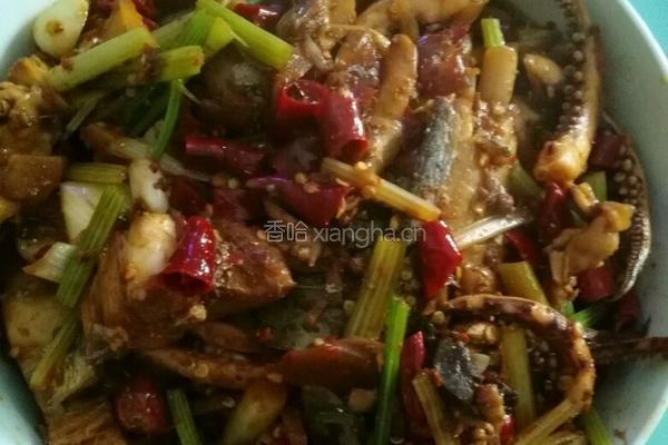 红烧带鱼鱿鱼的做法图解12