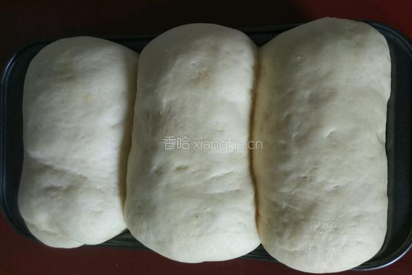 牛奶土司的做法图解8