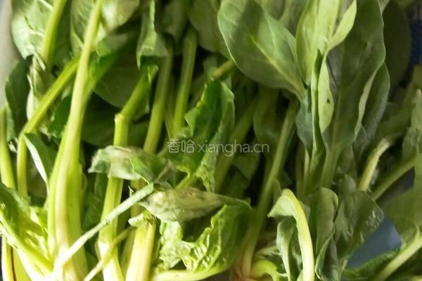 肉丝菠菜的做法图解1