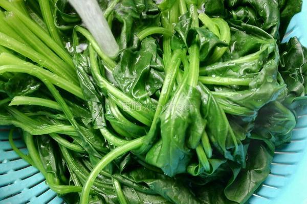 小酱炒菠菜的做法图解4