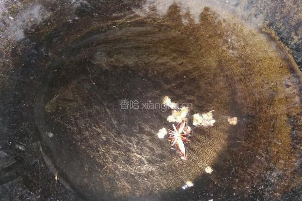 酱鸡爪的做法图解5