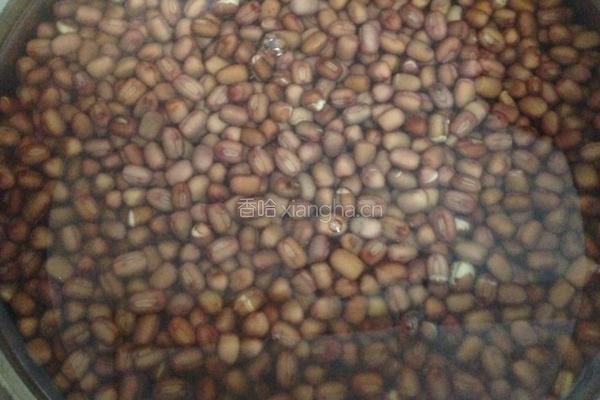 自制红豆沙的做法图解2
