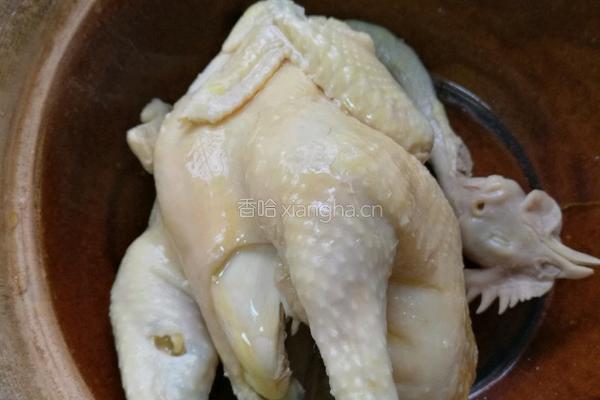 白斩鸡的做法图解7