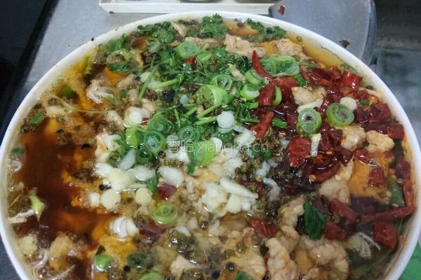 家常水煮肉片的做法图解17