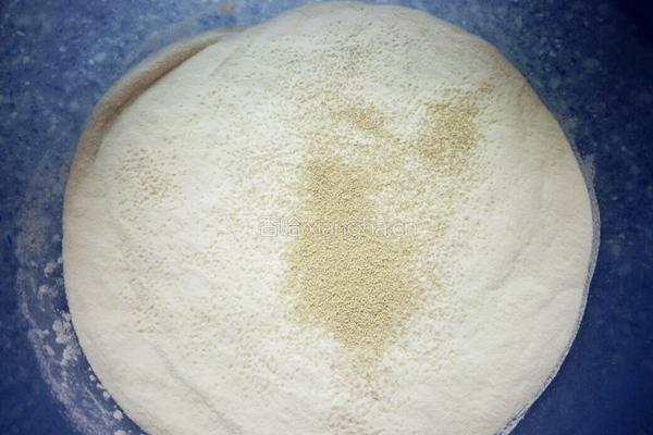 小猪酱肉包的做法图解4