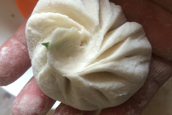 水煎包（猪肉韭菜馅儿）的做法图解9