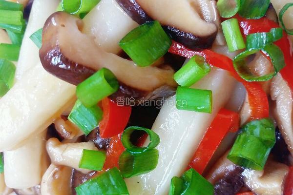 香菇炒年糕的做法图解8