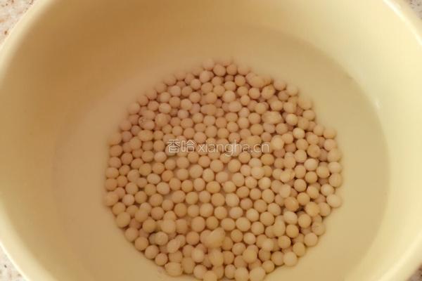 豆浆的做法图解2