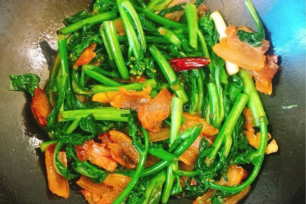 腊肉炒菜苔的做法图解9