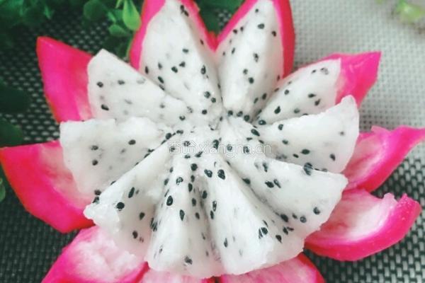 火龙果莲花的做法图解1