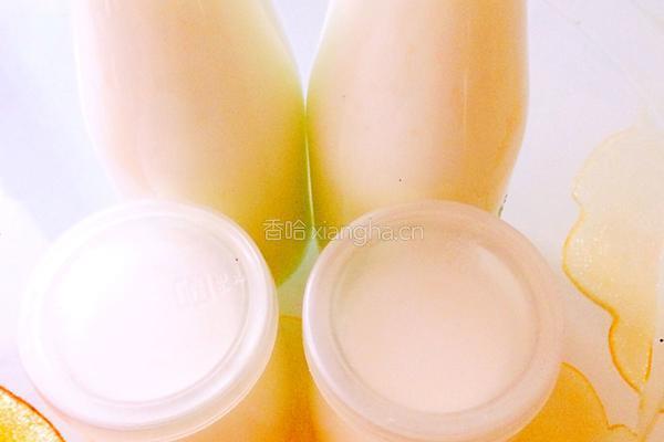 自制酸奶的做法图解12
