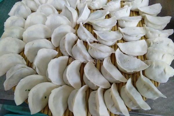 猪肉青菜馅饺子的做法图解6