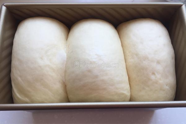 蜜红豆吐司的做法图解14