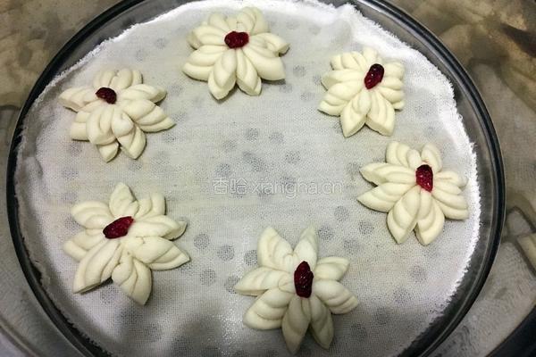 牛奶菊花馒头的做法图解18