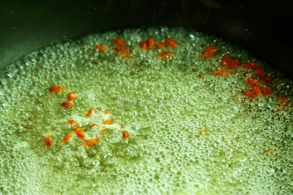 豆腐鳜鱼花的做法图解5