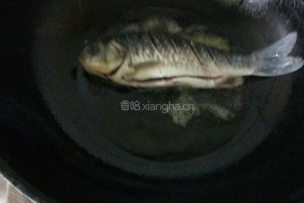 西红柿鲫鱼汤的做法图解2