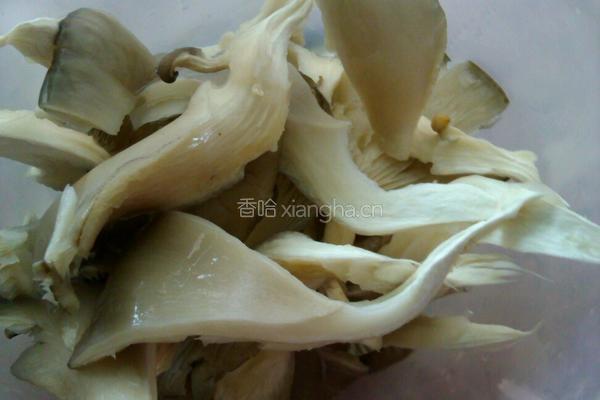 白菜蘑菇汤的做法图解2
