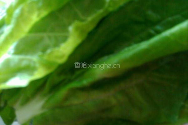 白菜蘑菇汤的做法图解3