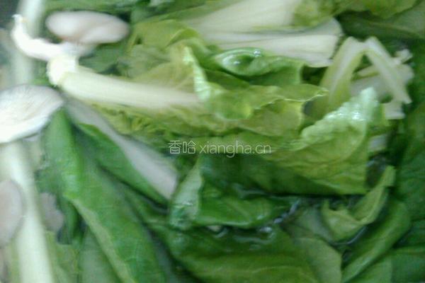 白菜蘑菇汤的做法图解5