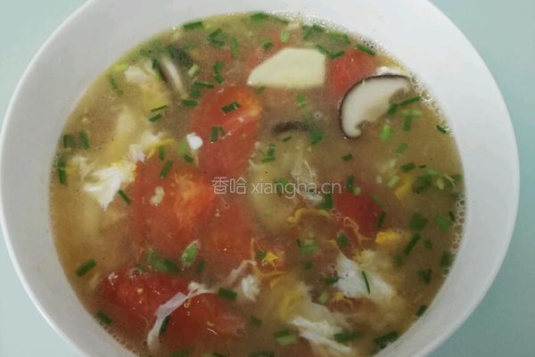 番茄蛋花汤的做法图解12