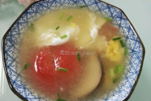 番茄蛋花汤的做法图解13