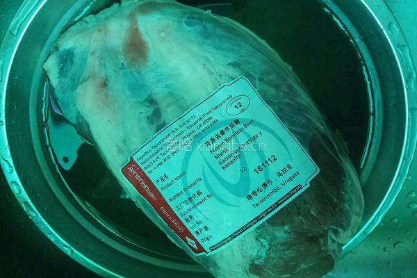 老屋私房菜 详解五香酱牛肉的做法图解1