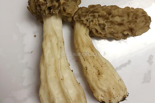 筒骨羊肚菌汤的做法图解1