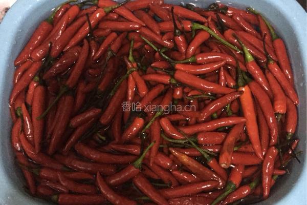 自制泡椒的做法图解1