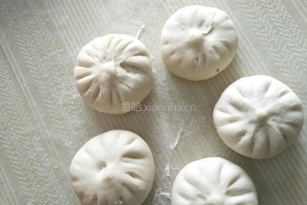 韭菜虾皮芝麻馅包子的做法图解9