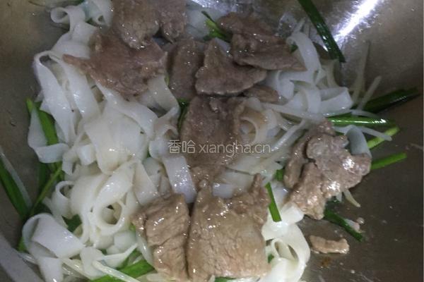 干炒牛河的做法图解5