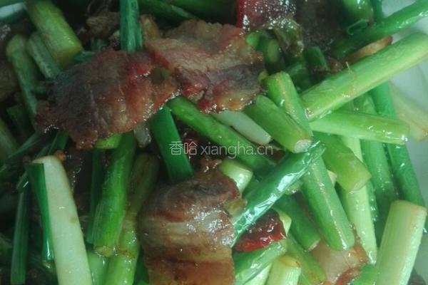 蒜苔炒腊肉