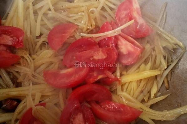 番茄土豆丝的做法图解4