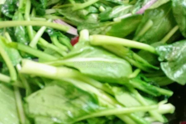 青菜洋葱炒鸡蛋的做法图解5