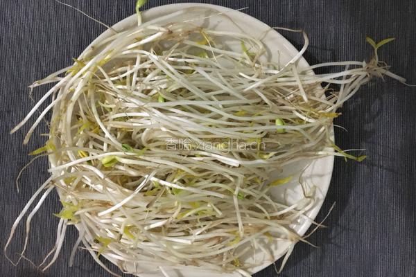 杂锦炒米粉的做法图解3