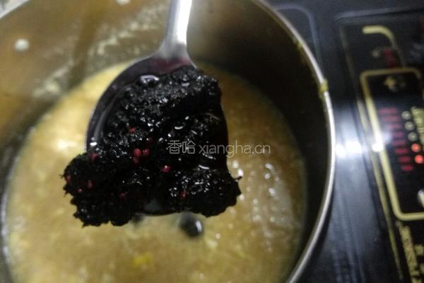 桑葚酒酿的做法图解5