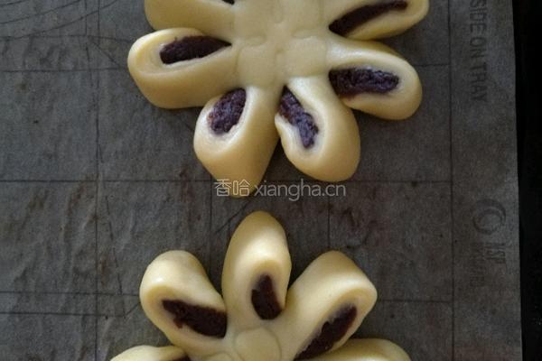 巧克力菊花酥的做法图解12