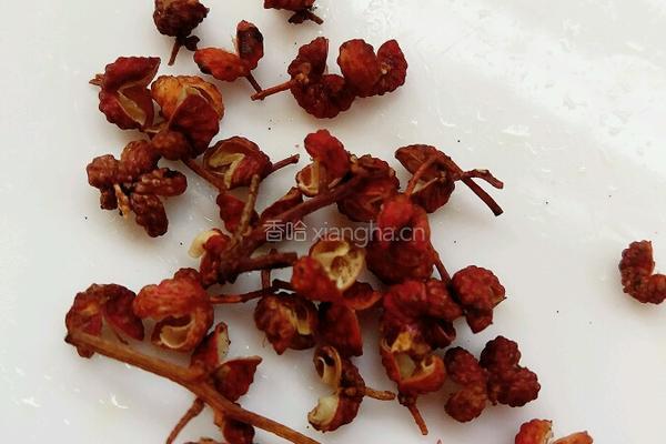 酸汤水饺的做法图解4
