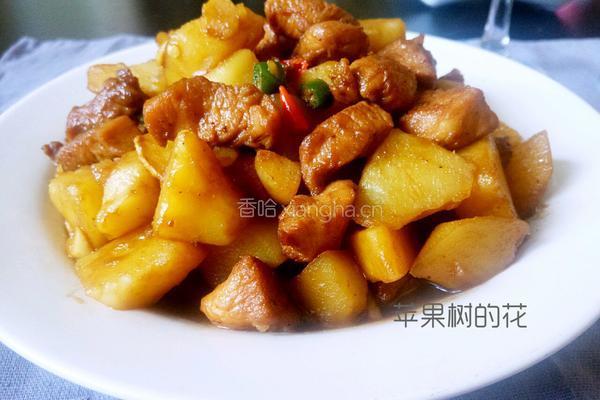 土豆炖鸡块的做法图解12