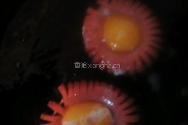 太阳花的做法图解4