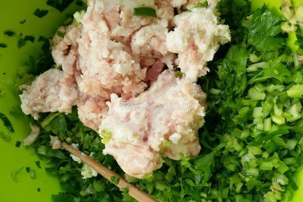 芹菜肉饺子的做法图解2
