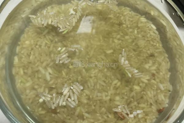 糙米红豆饭的做法图解1