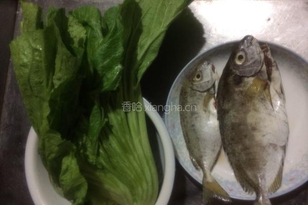 泥猛鱼胡椒滚芥菜的做法图解1